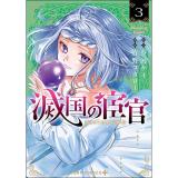 ・滅国の宦官 第3巻