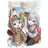 迷子になっていた幼女を助けたら、お隣に住む美少女留学生が家に遊びに来るようになった件について 第3巻