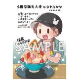 サンプル画像1