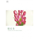 『伝える』 yunumata 2nd Album Package