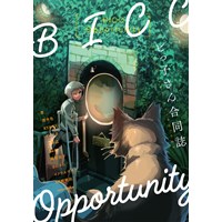 BICC Opportunity