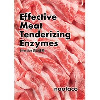 Effective Meat Tenderizing Enzymes Effective 肉と酵素