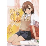 とある秘密の御坂美琴(おねえさま)