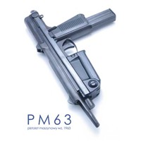 PM63