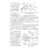 サンプル画像1