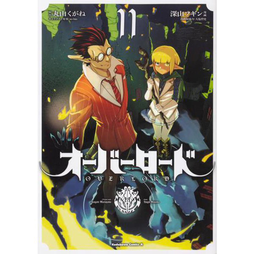 Comic Zin 通信販売 商品詳細 オーバーロード 第11巻