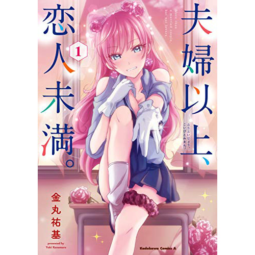 日本在庫夫婦以上、恋人未満。1～9巻 全巻初版 帯付き 特典付き 青年漫画
