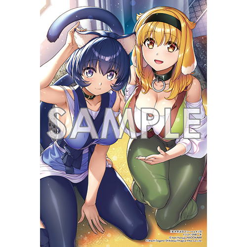 COMIC ZIN 通信販売/商品詳細 異世界迷宮でハーレムを 第12巻