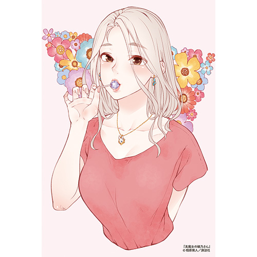 Comic Zin 通信販売 商品詳細 美魔女の綾乃さん 第1巻