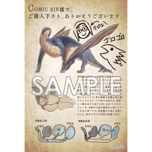 COMIC ZIN 通信販売/商品詳細 竜医のルカ 第1巻