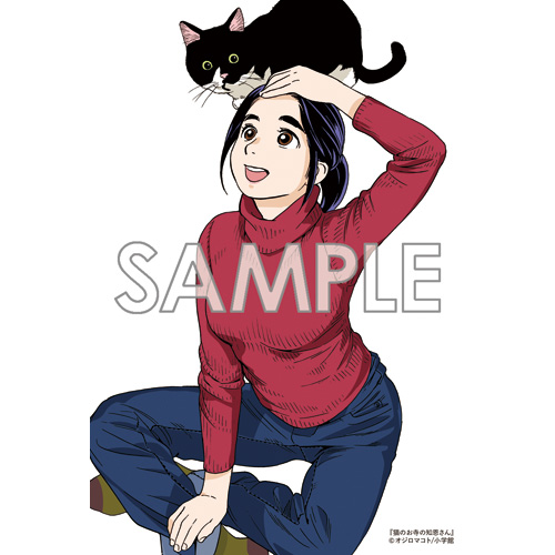 Comic Zin 通信販売 商品詳細 猫のお寺の知恩さん 第9巻