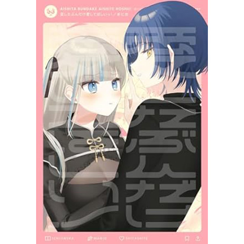 COMIC ZIN 通信販売/商品詳細 愛したぶんだけ愛してほしいっ!