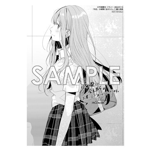 Comic Zin 通信販売 商品詳細 今日 小柴葵に会えたら 第1巻