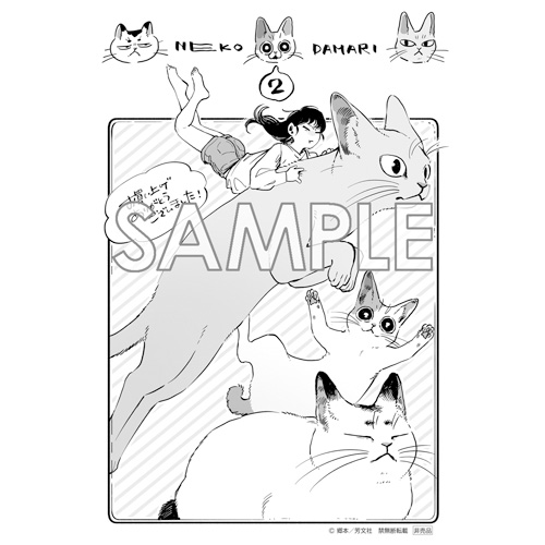 Comic Zin 通信販売 商品詳細 ねこだまり 第2巻 Comic Zin 通信販売 商品詳細 ねこだまり 第2巻