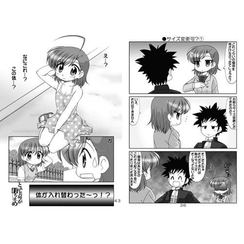 Comic Zin 通信販売 商品詳細 素直になれない超電磁砲総集編