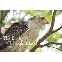 The Birds of Ishigaki Island and more