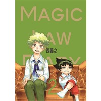 Magic Law Diary 2