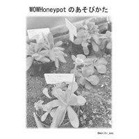 WOWHoneypotの遊びかた