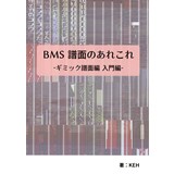 BMS 譜面のあれこれ -ギミック譜面編 入門編-