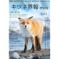 「キタキツネ写真集」キツネ界報mini Vol.1